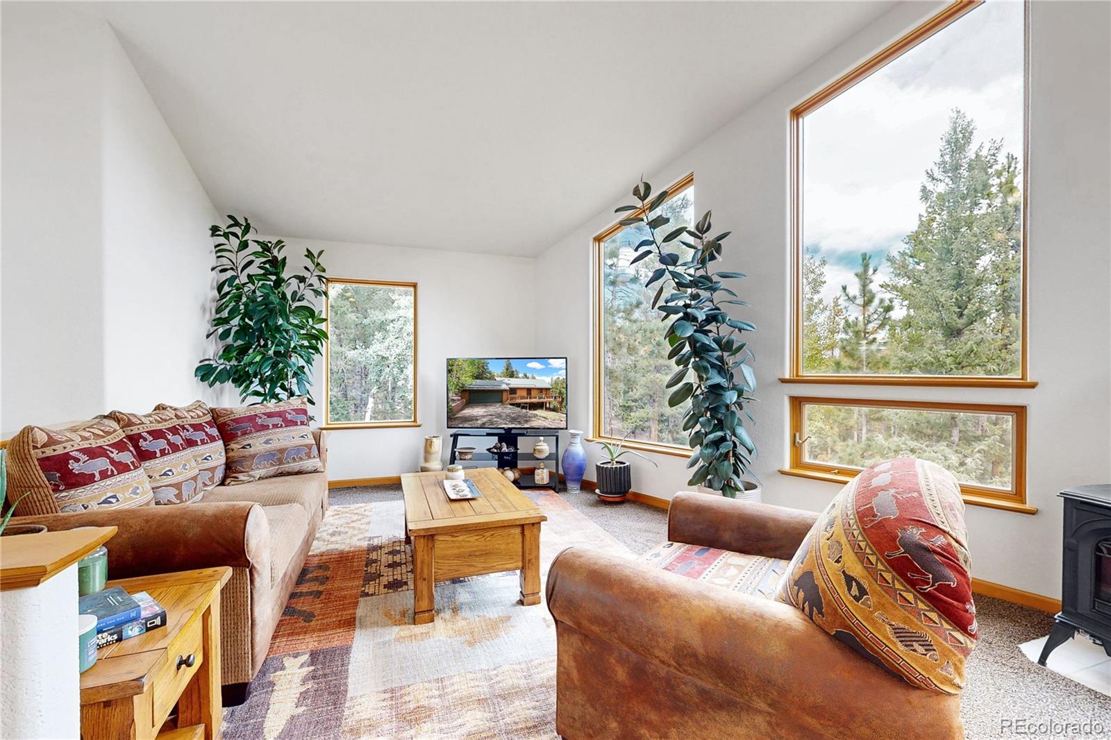 MLS Image #6 for 1360  delwood drive,bailey, Colorado