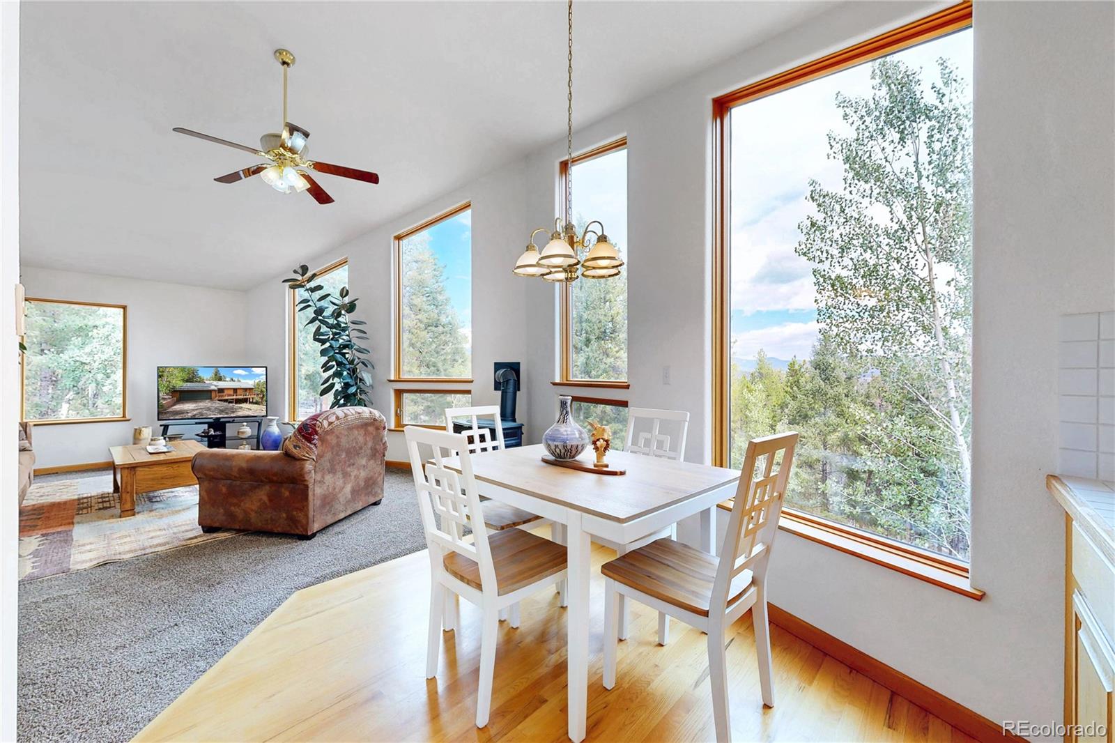 MLS Image #7 for 1360  delwood drive,bailey, Colorado
