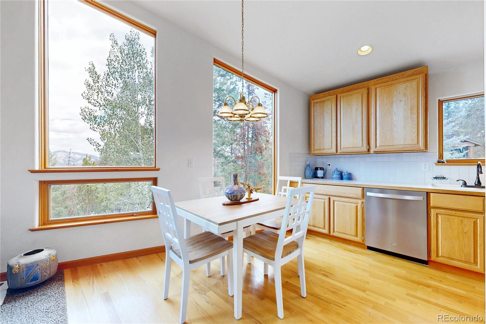MLS Image #8 for 1360  delwood drive,bailey, Colorado