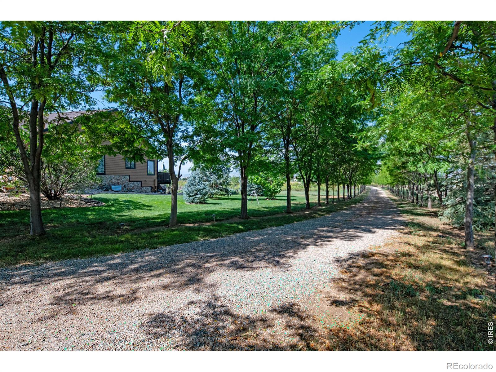 MLS Image #45 for 12156 n county road 17 ,fort collins, Colorado