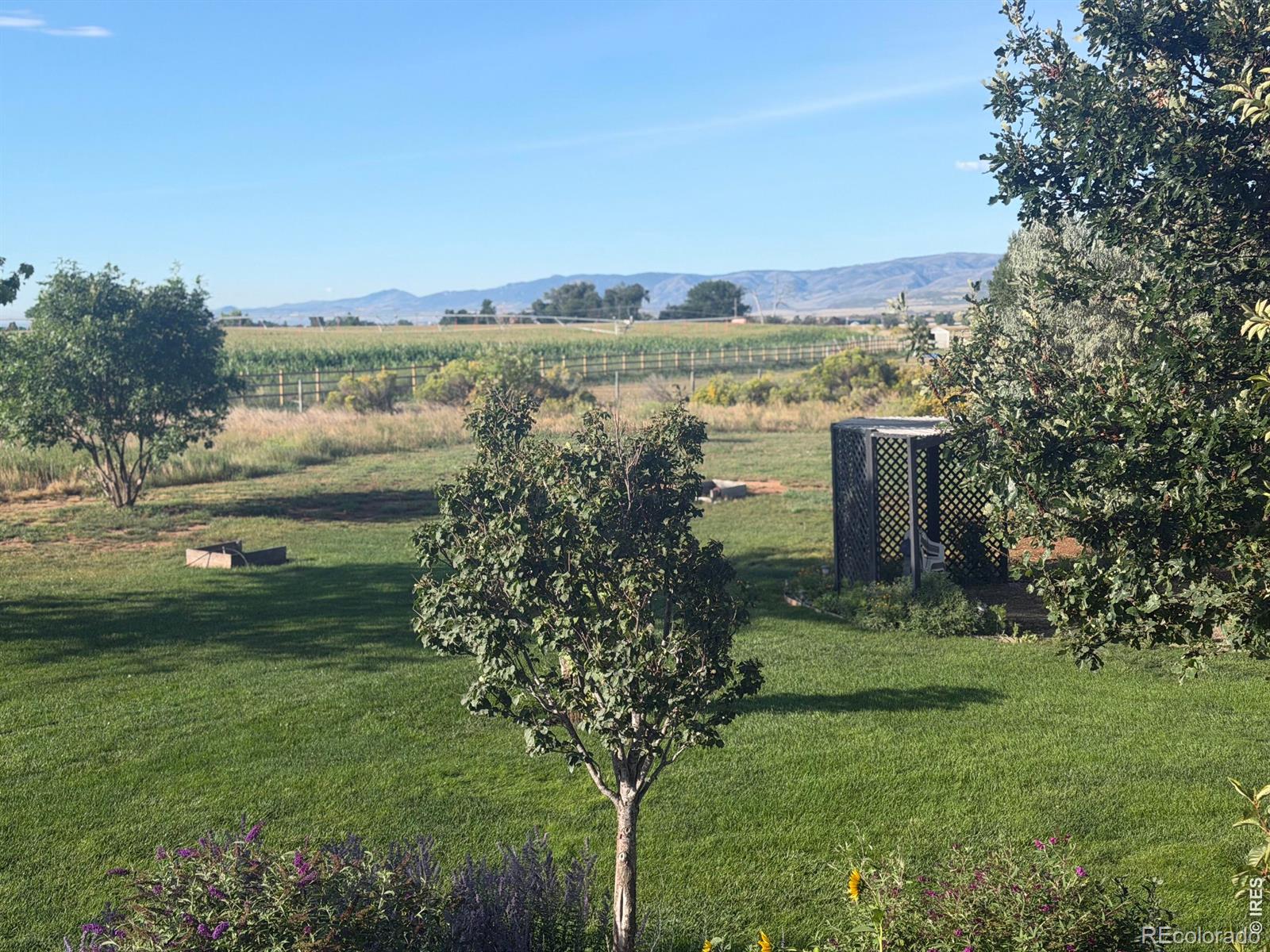 MLS Image #46 for 12156 n county road 17 ,fort collins, Colorado