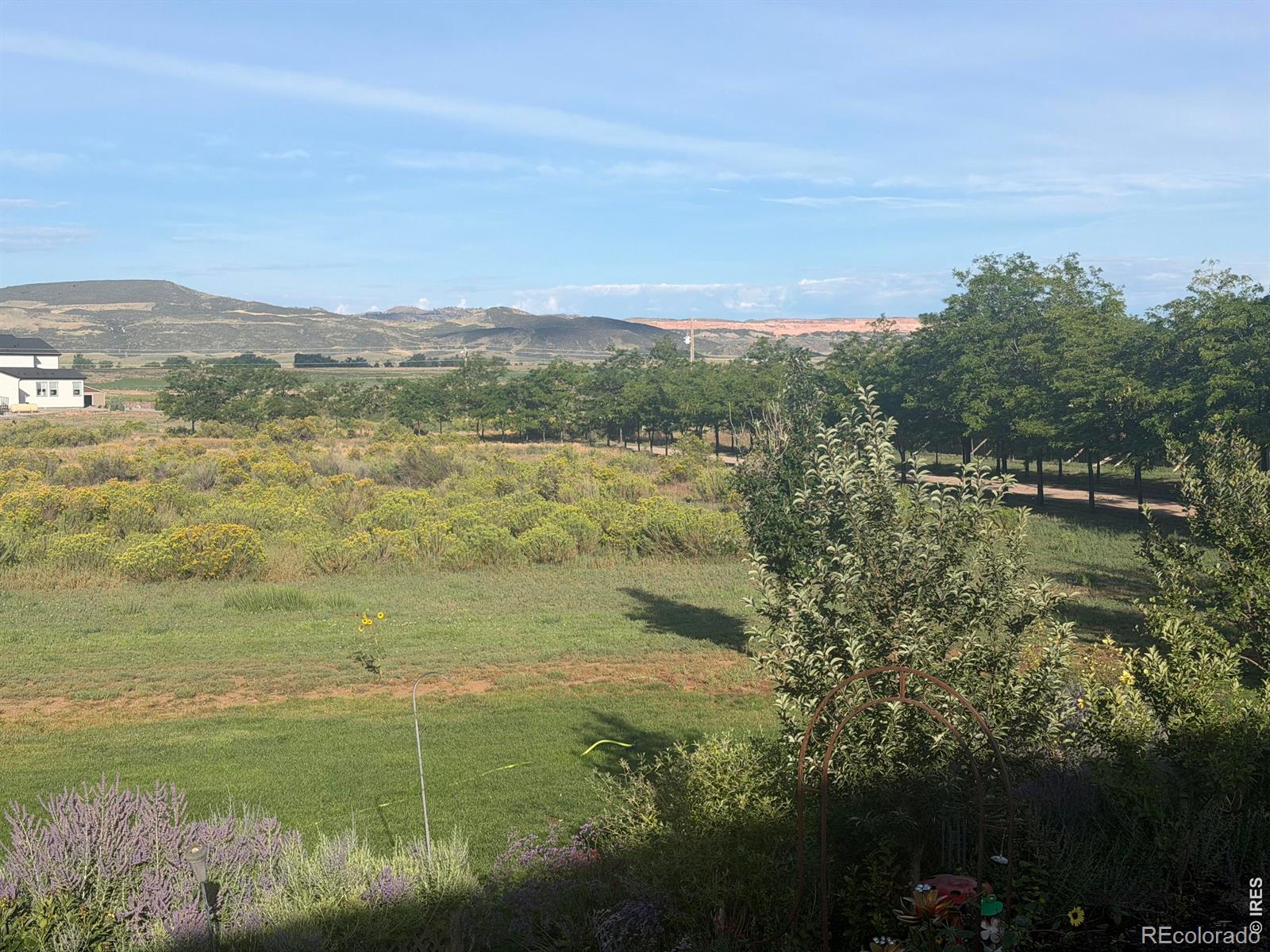 MLS Image #49 for 12156 n county road 17 ,fort collins, Colorado