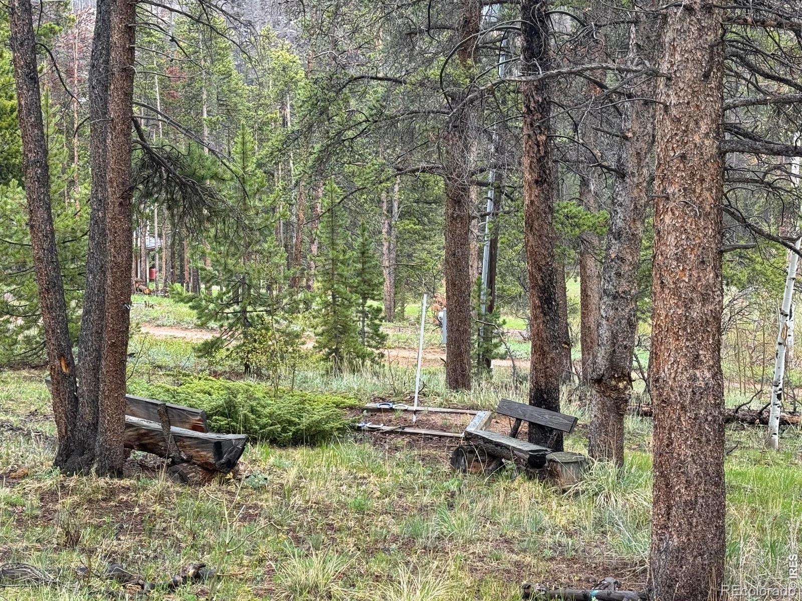 MLS Image #11 for 13348  pingree park road,bellvue, Colorado