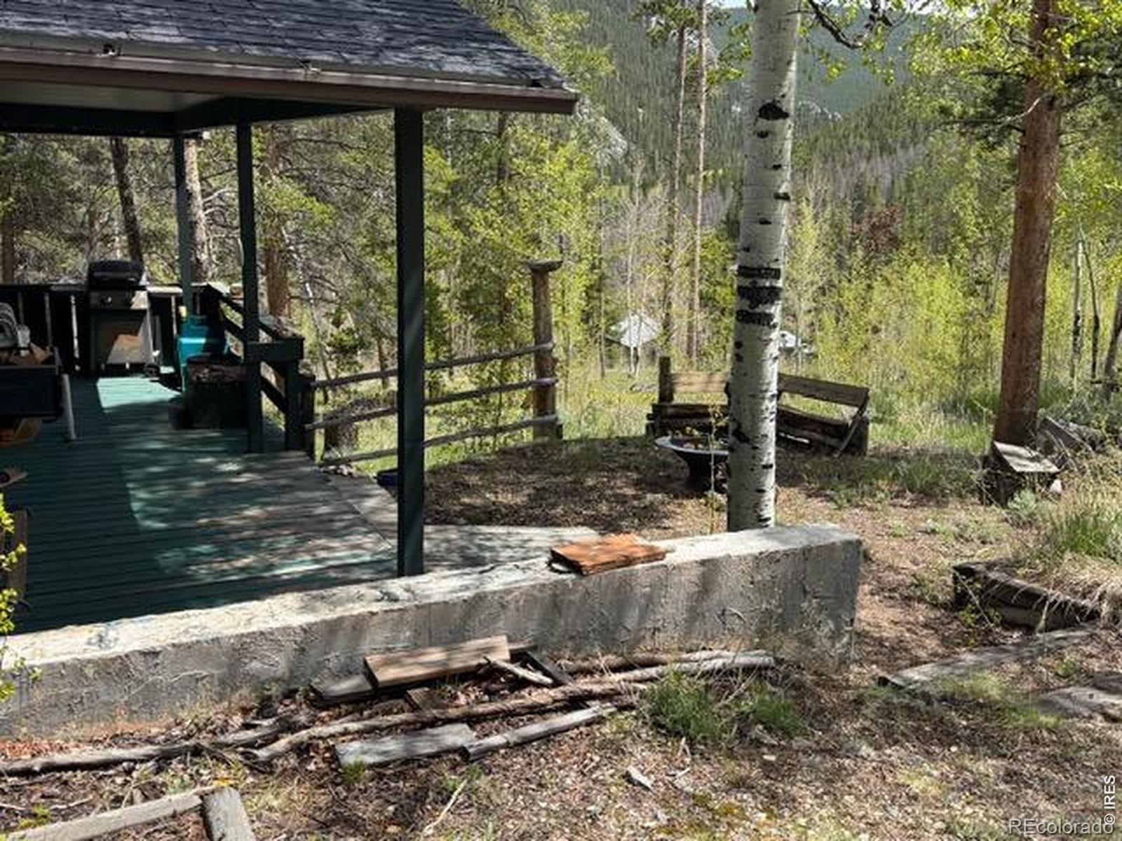 MLS Image #14 for 13348  pingree park road,bellvue, Colorado