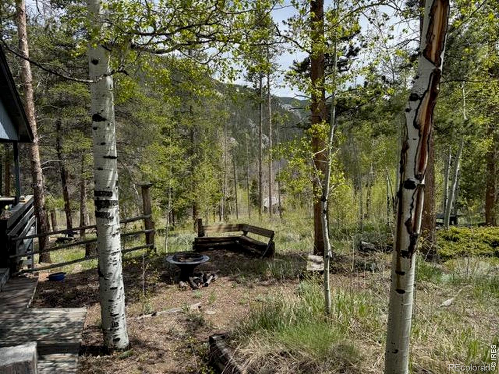 MLS Image #16 for 13348  pingree park road,bellvue, Colorado