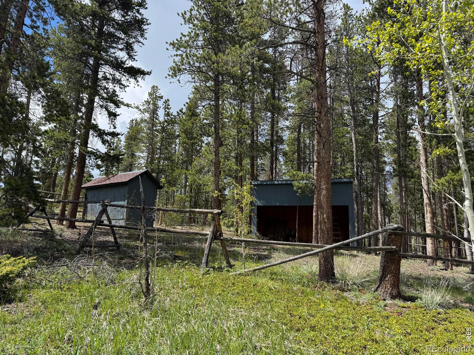 MLS Image #18 for 13348  pingree park road,bellvue, Colorado