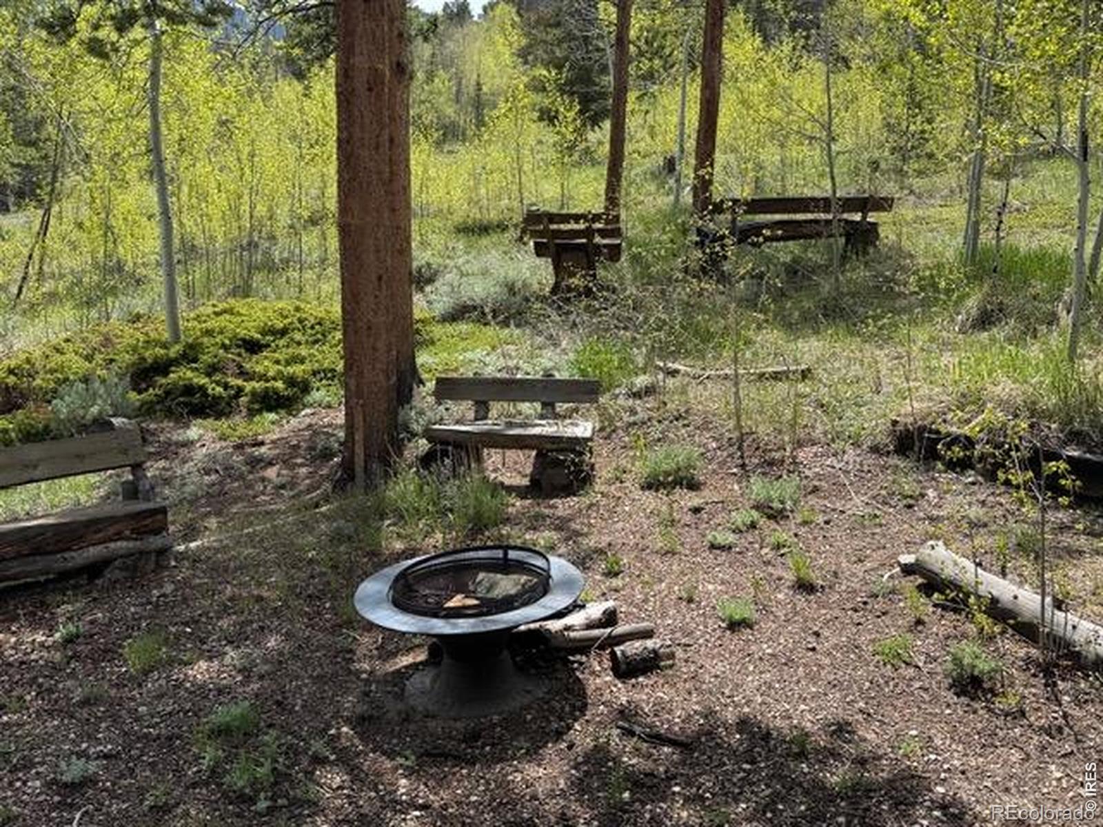 MLS Image #20 for 13348  pingree park road,bellvue, Colorado