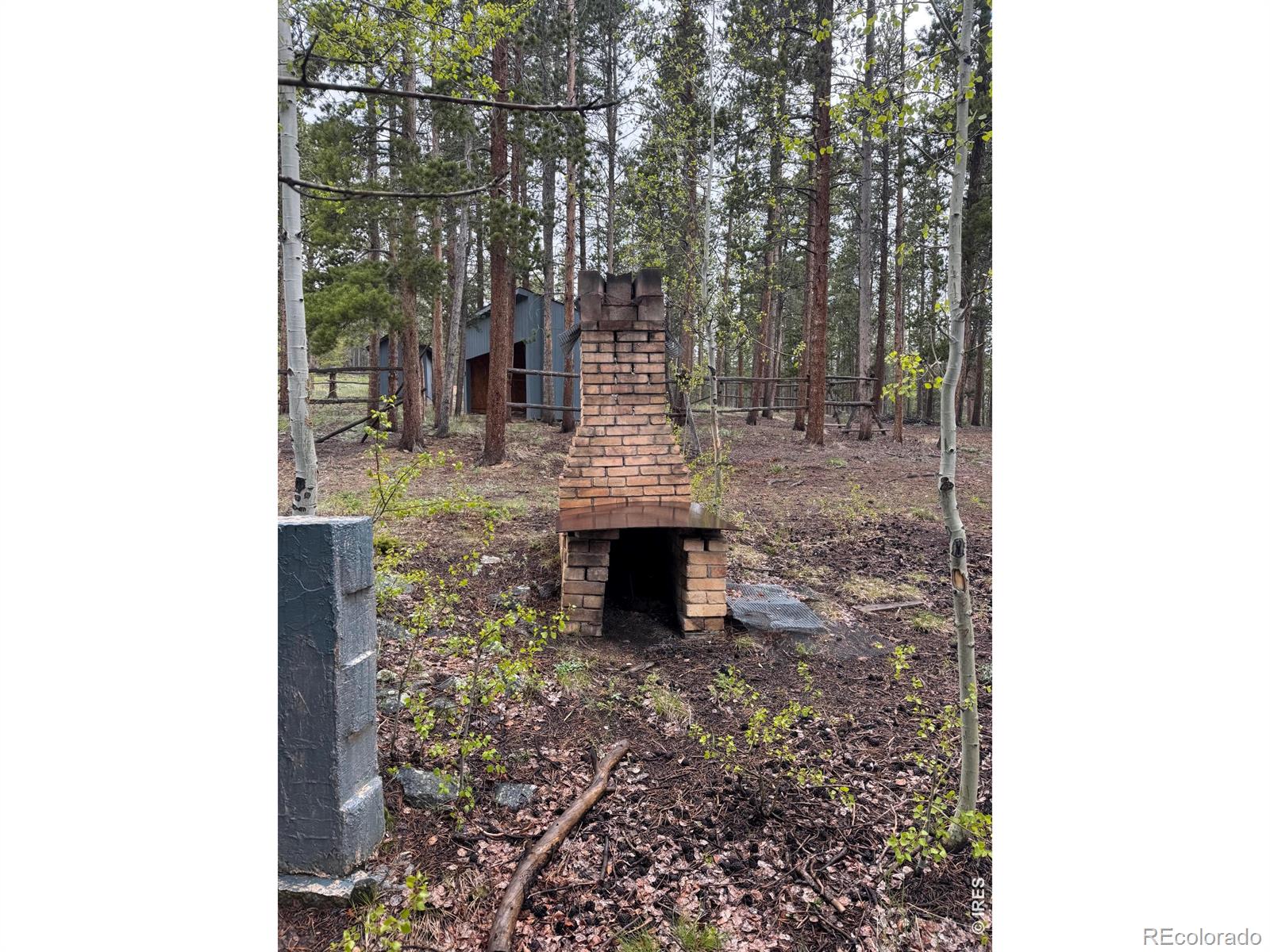 MLS Image #21 for 13348  pingree park road,bellvue, Colorado