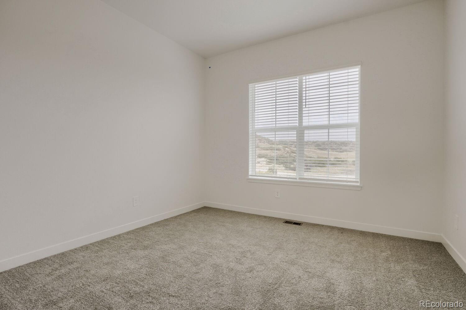 MLS Image #10 for 4181  buttongrass trail,castle rock, Colorado