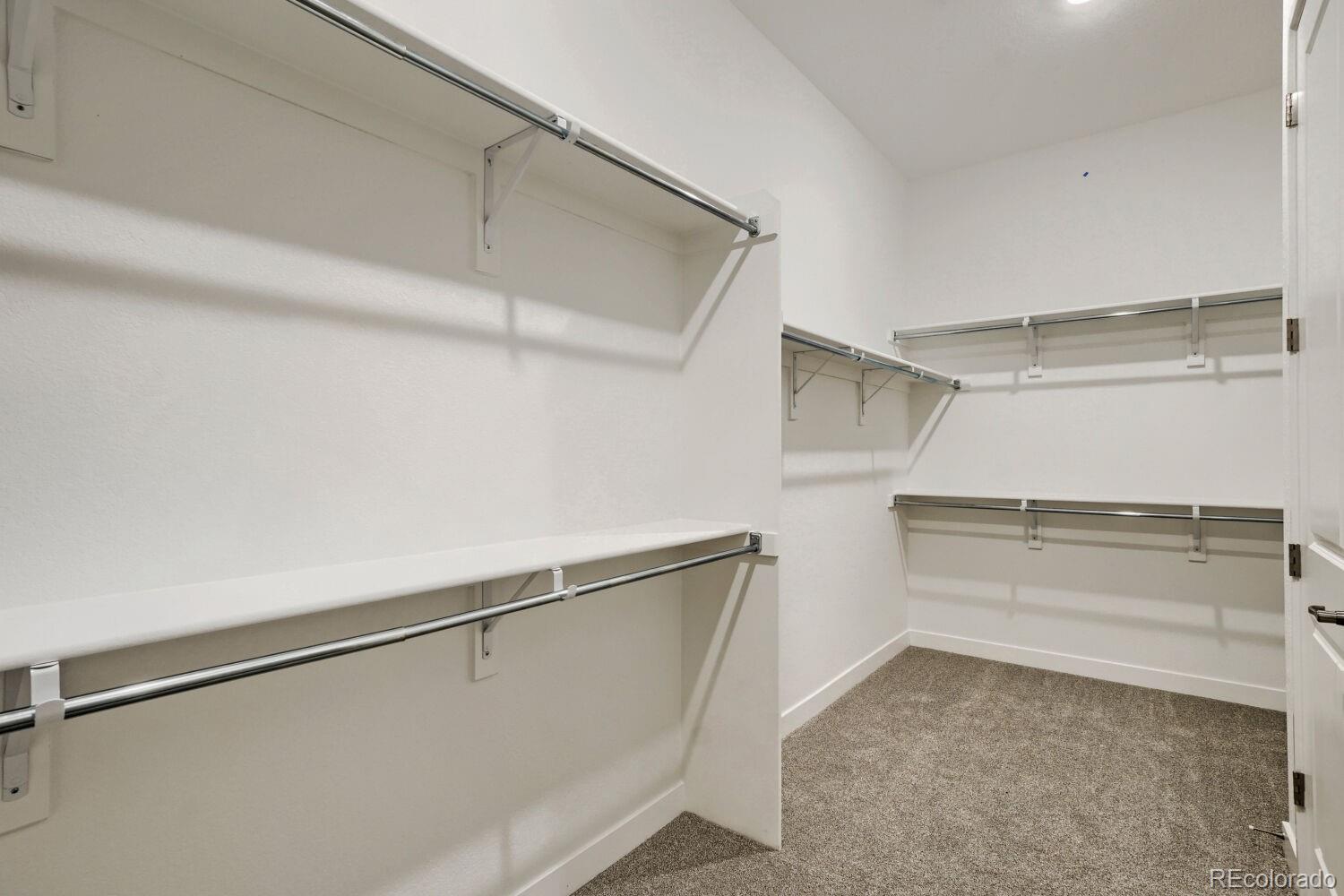MLS Image #12 for 4181  buttongrass trail,castle rock, Colorado