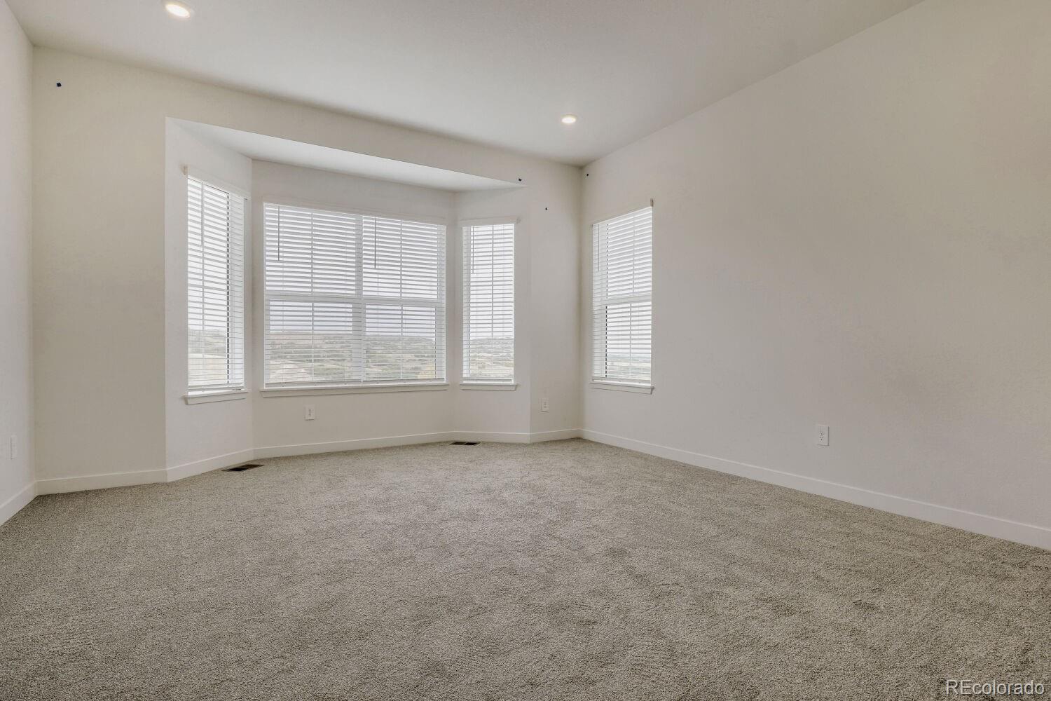 MLS Image #9 for 4181  buttongrass trail,castle rock, Colorado