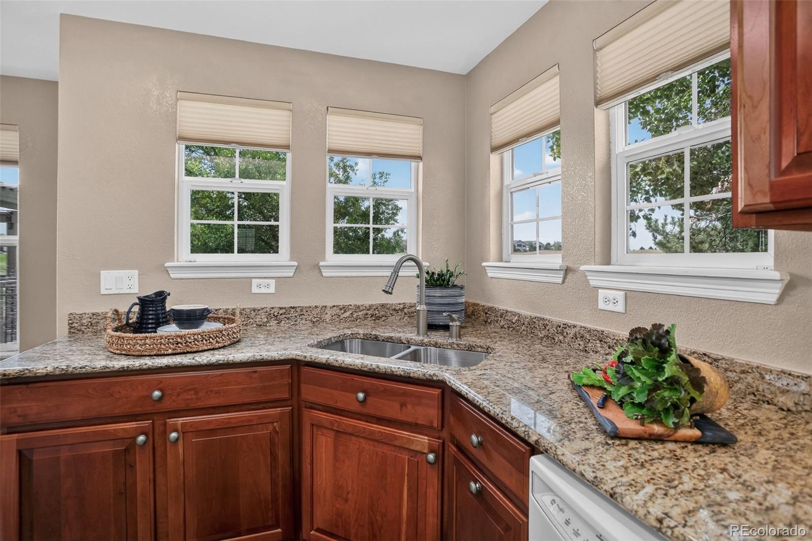 MLS Image #15 for 14937  xenia street,thornton, Colorado