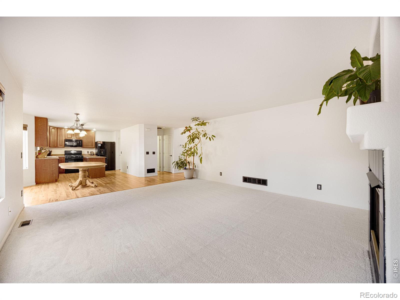 MLS Image #10 for 3505  cheetah drive,loveland, Colorado