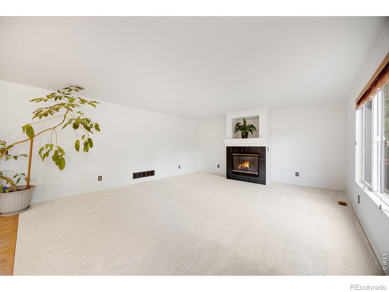 MLS Image #11 for 3505  cheetah drive,loveland, Colorado