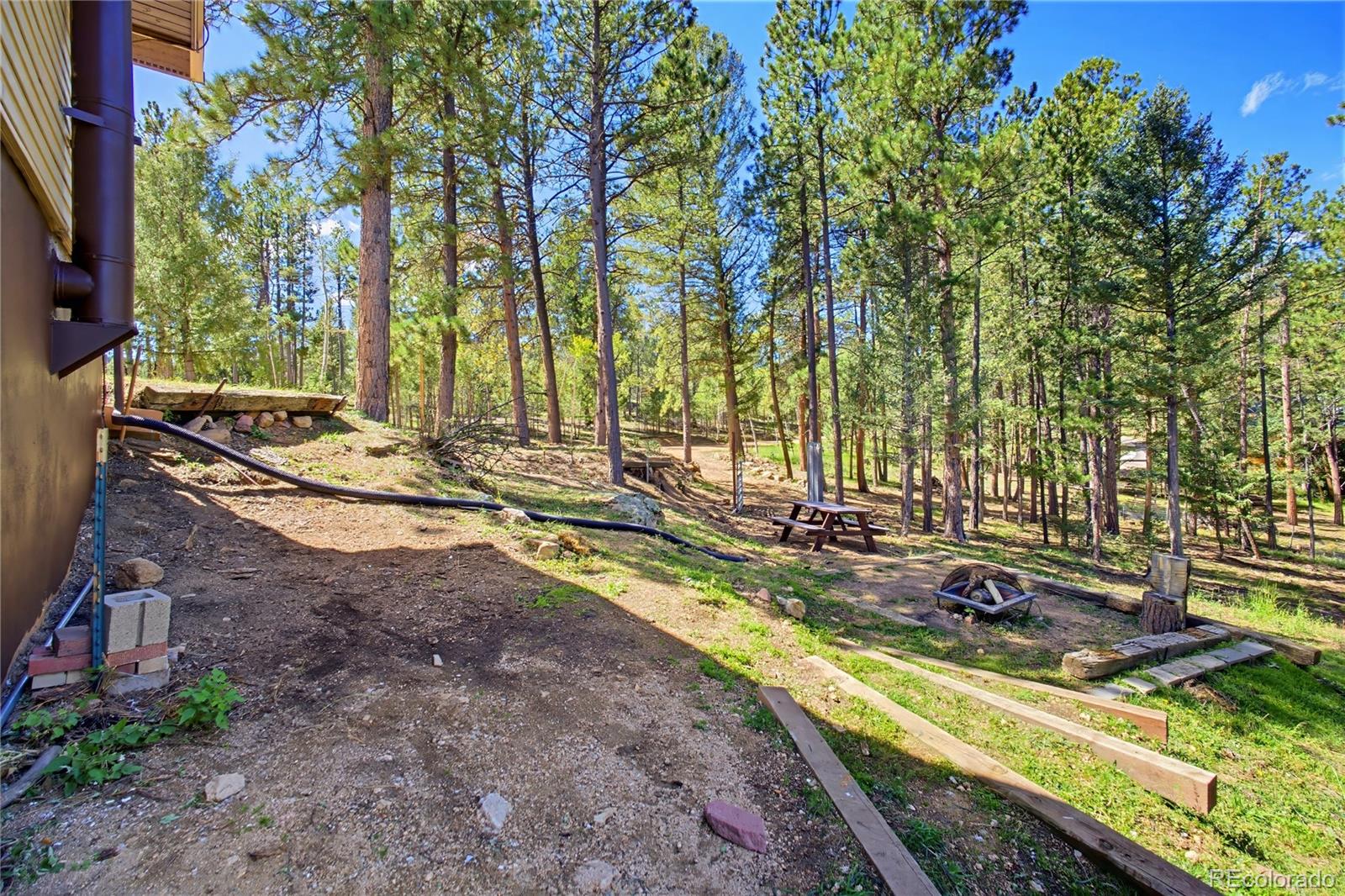 MLS Image #44 for 33511  nova road,pine, Colorado