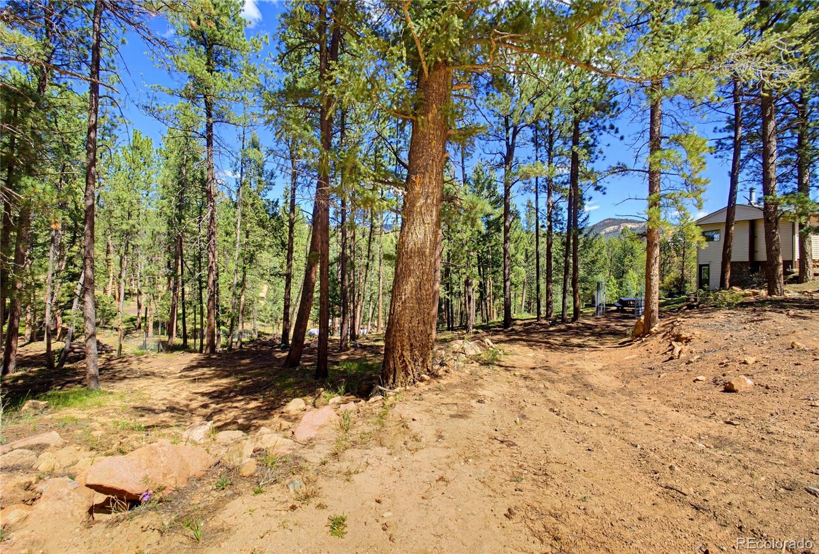 MLS Image #47 for 33511  nova road,pine, Colorado