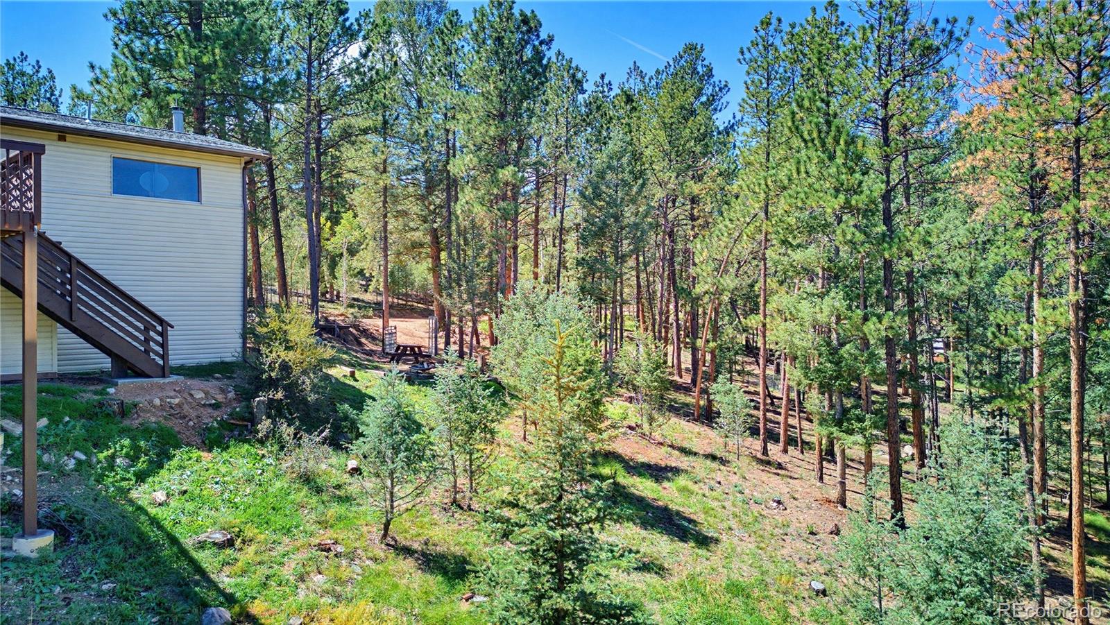 MLS Image #6 for 33511  nova road,pine, Colorado