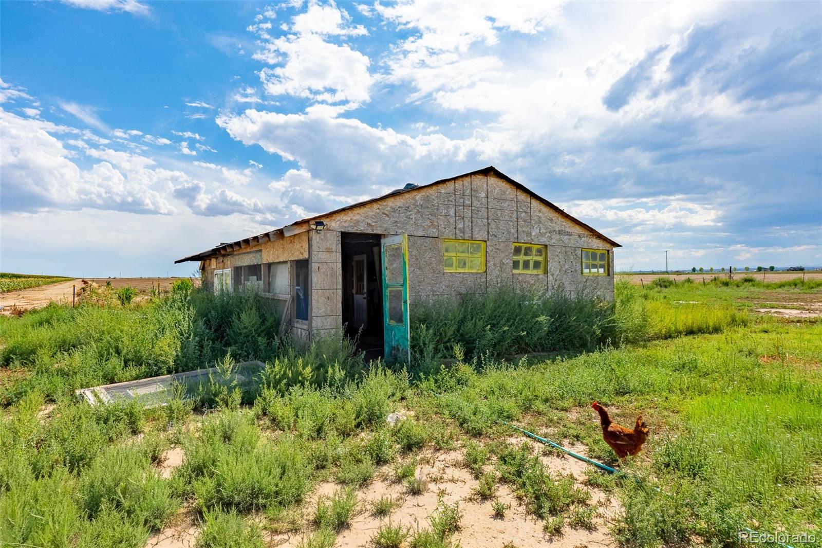 MLS Image #38 for 32638  county road 10 ,keenesburg, Colorado