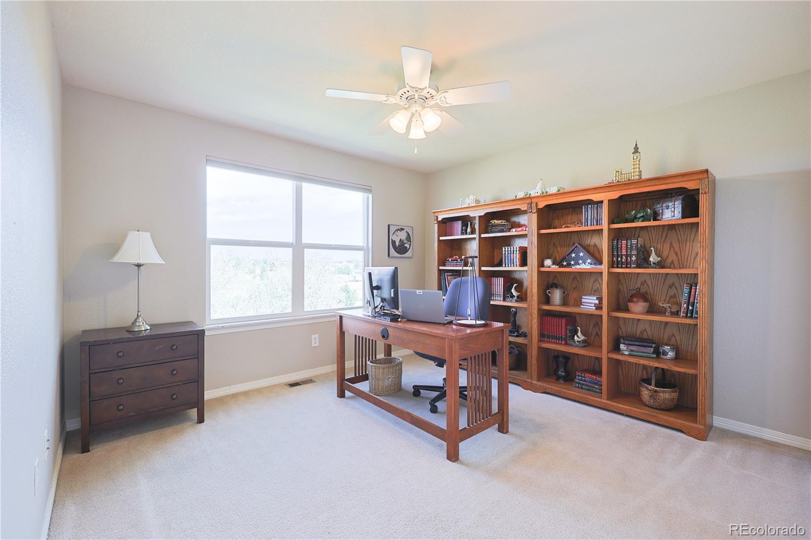 MLS Image #29 for 20333  vista circle,parker, Colorado