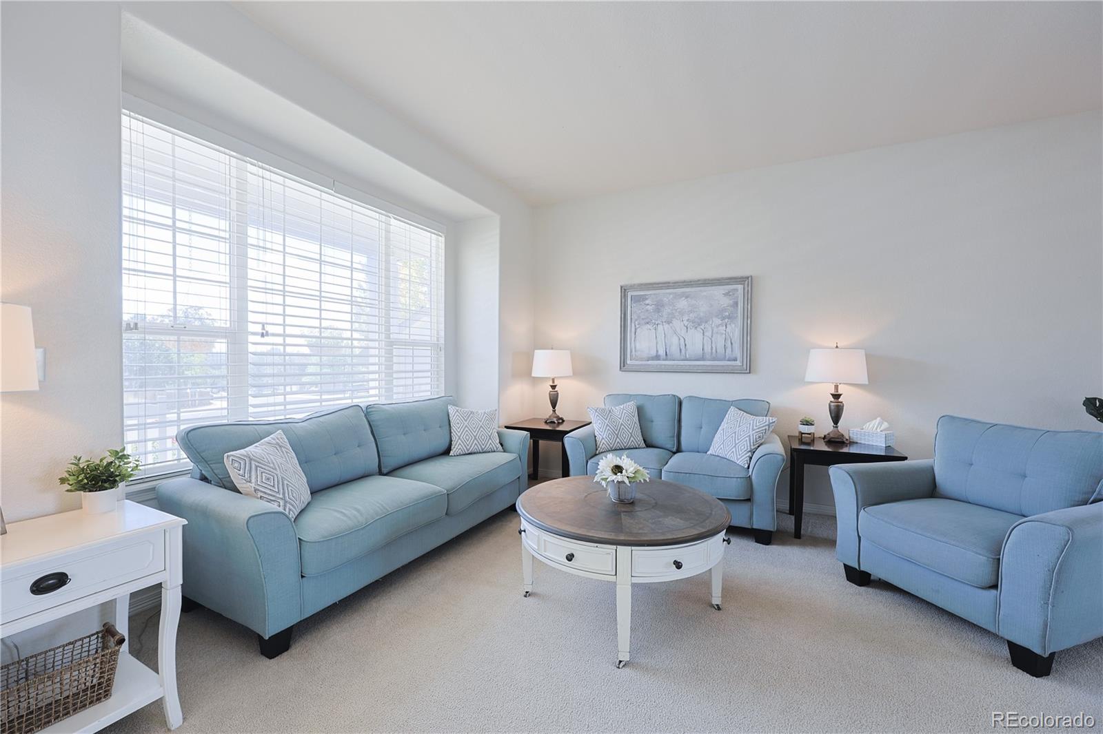 MLS Image #5 for 20333  vista circle,parker, Colorado