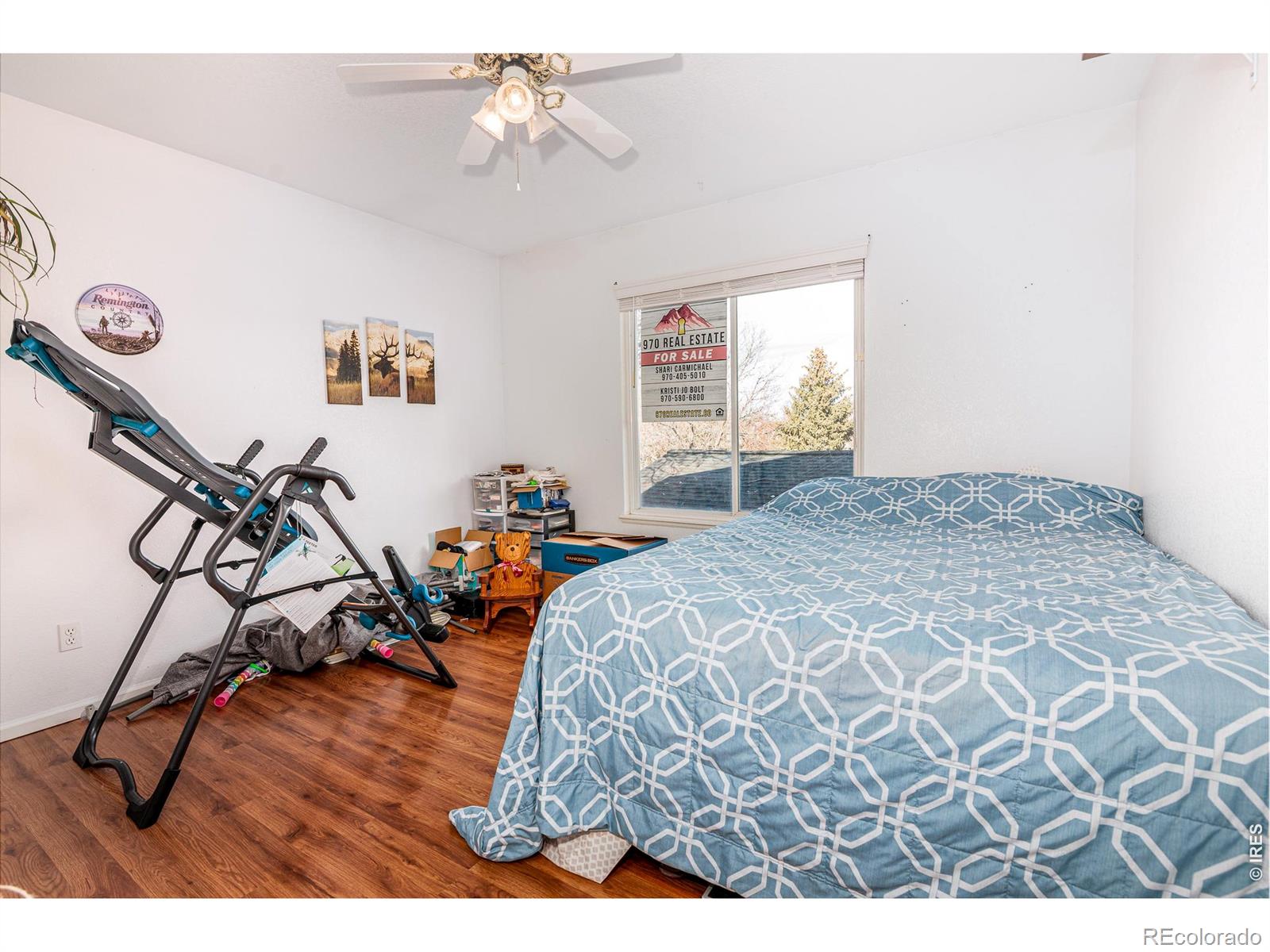 MLS Image #12 for 2905  neil drive,fort collins, Colorado