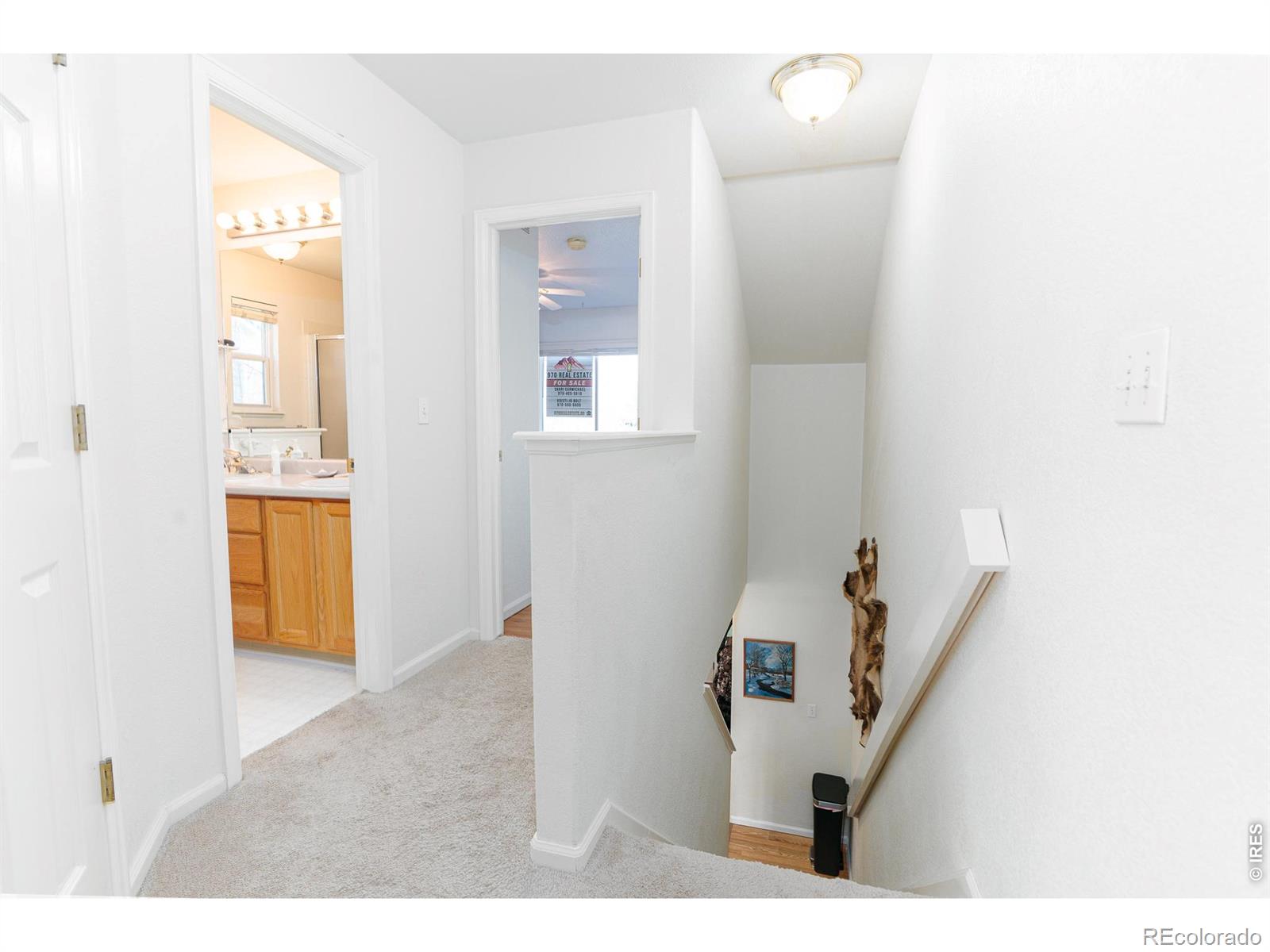 MLS Image #17 for 2905  neil drive,fort collins, Colorado