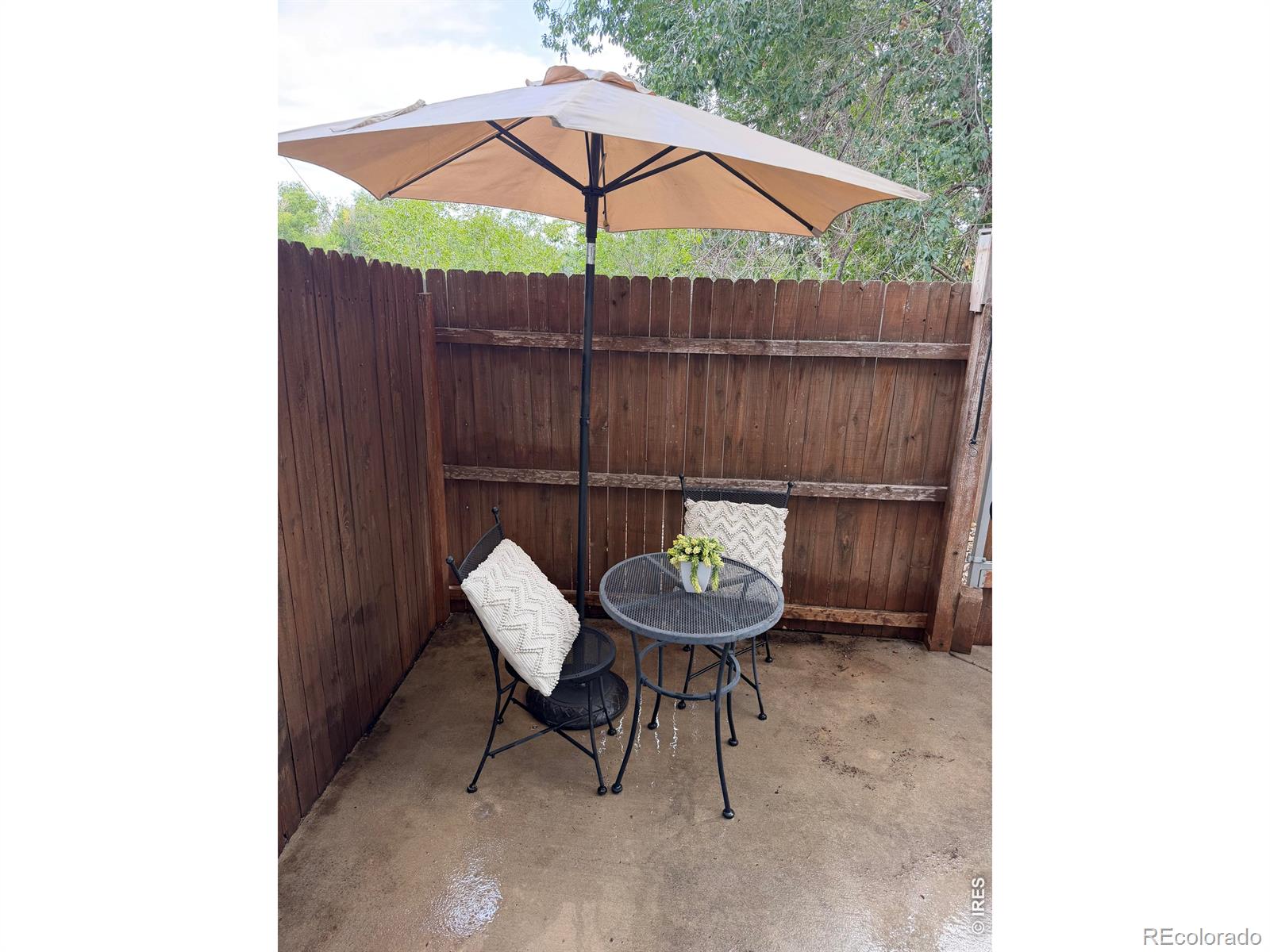 MLS Image #18 for 2905  neil drive,fort collins, Colorado