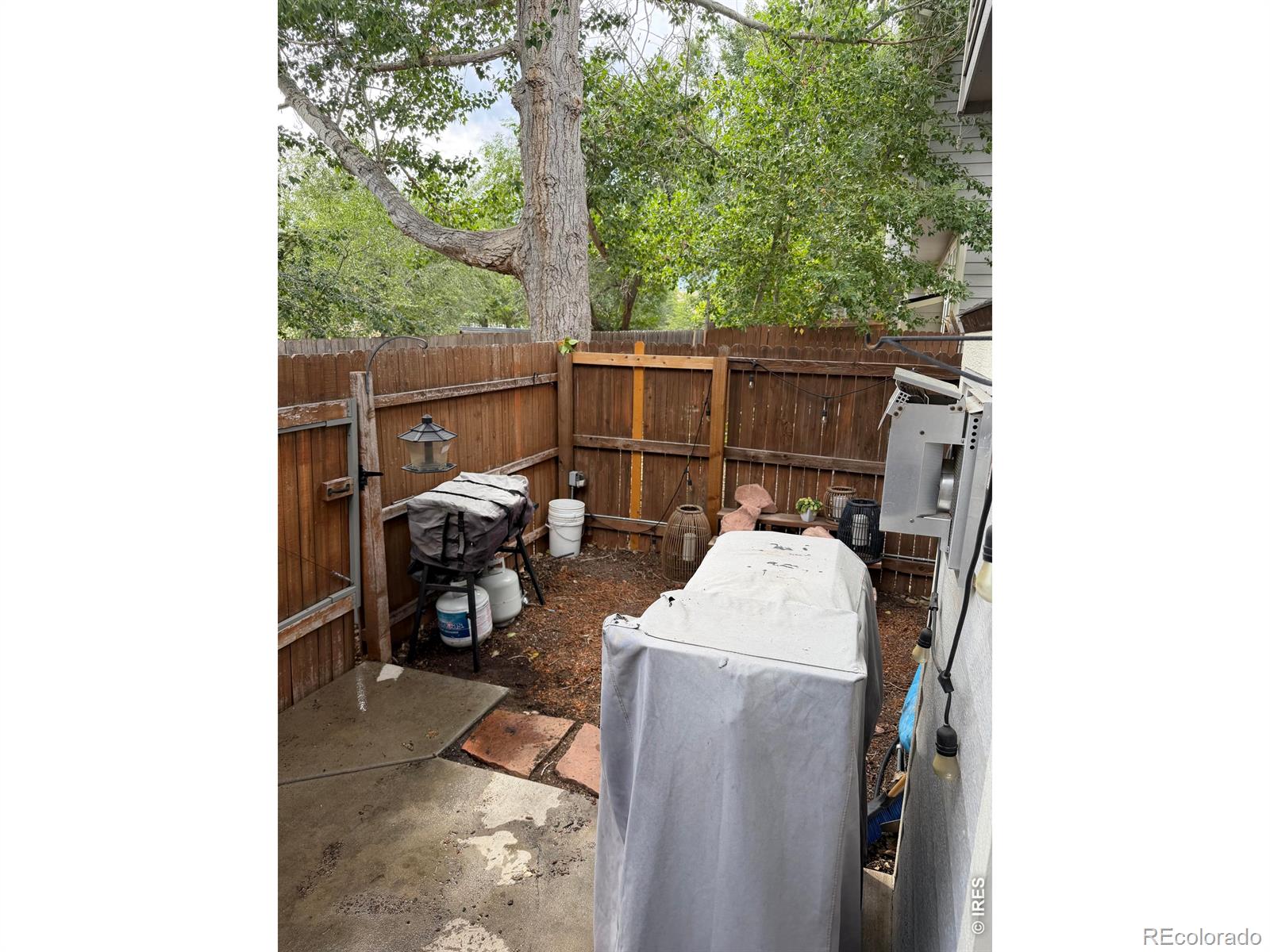 MLS Image #19 for 2905  neil drive,fort collins, Colorado