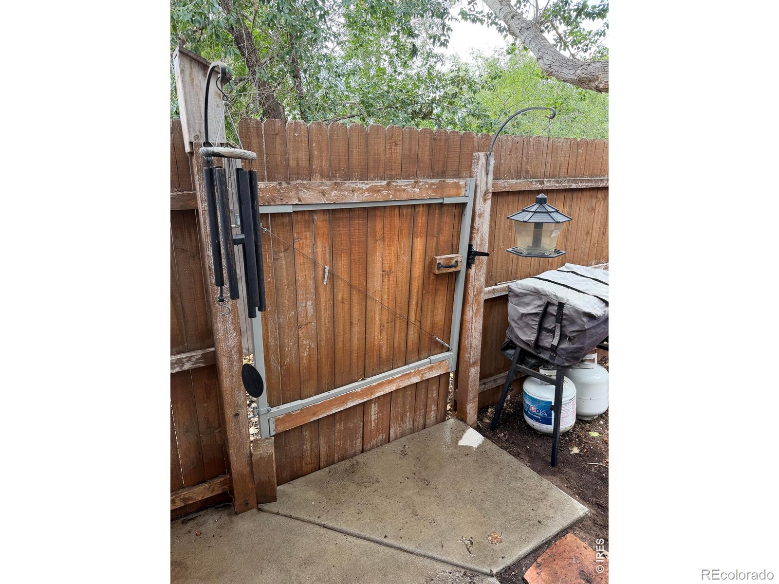 MLS Image #21 for 2905  neil drive,fort collins, Colorado