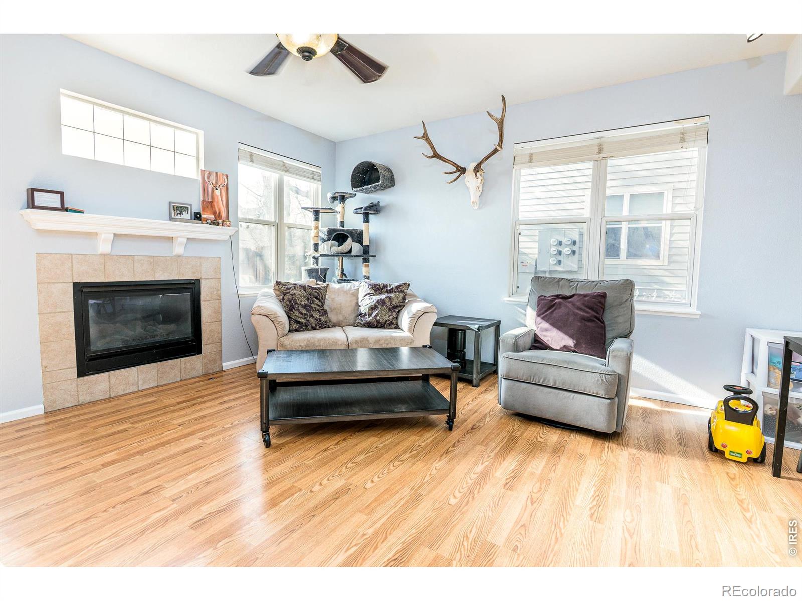 MLS Image #7 for 2905  neil drive,fort collins, Colorado