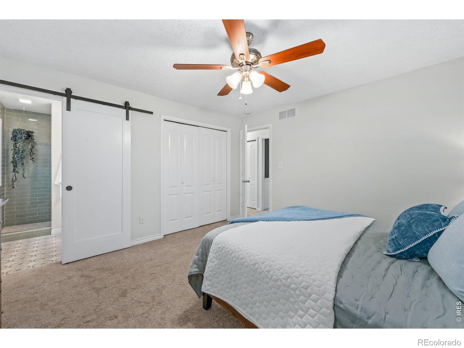 MLS Image #19 for 4127  balsa court,loveland, Colorado