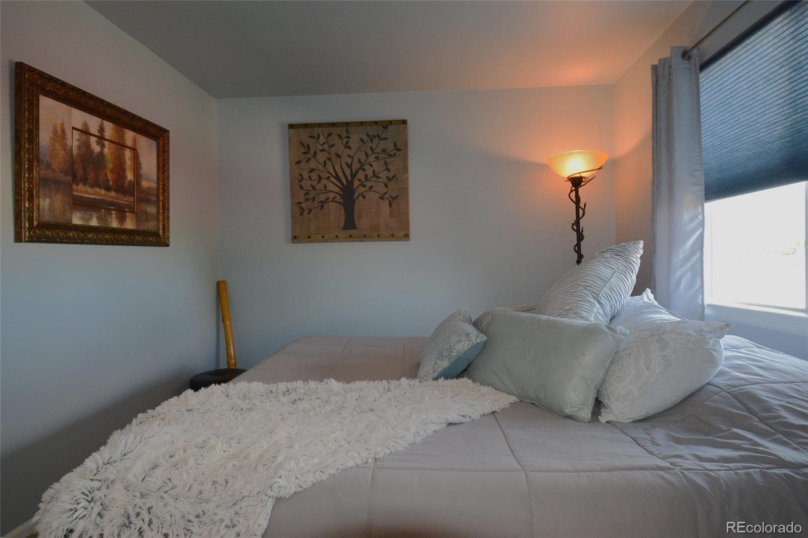 MLS Image #20 for 993  parsons avenue,castle rock, Colorado