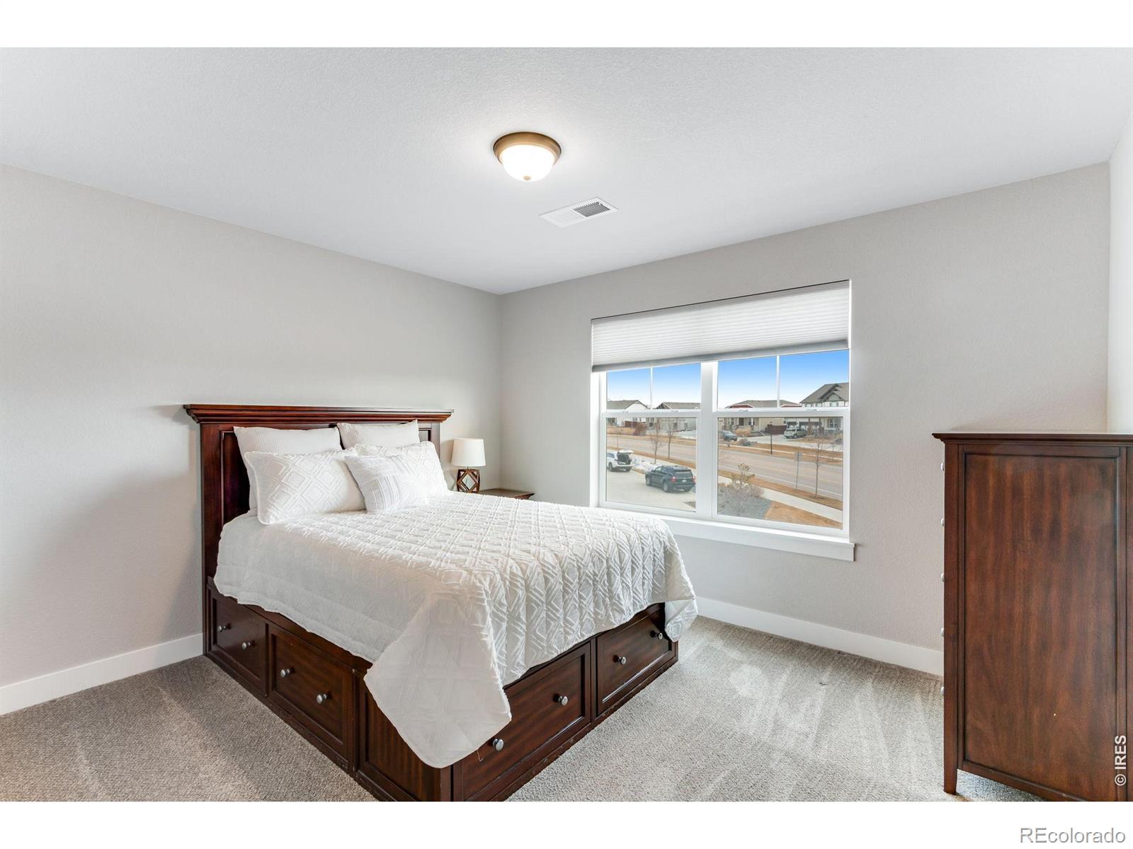 MLS Image #29 for 2078  covered bridge parkway,windsor, Colorado
