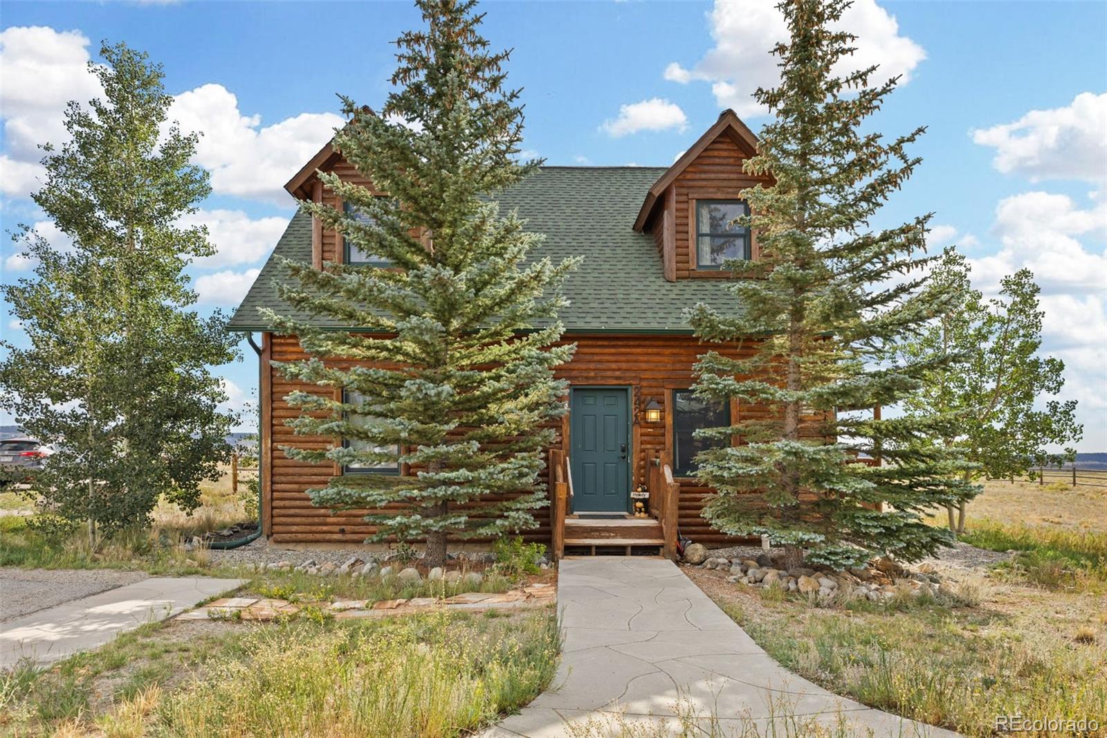 MLS Image #1 for 242  fuller drive,fairplay, Colorado