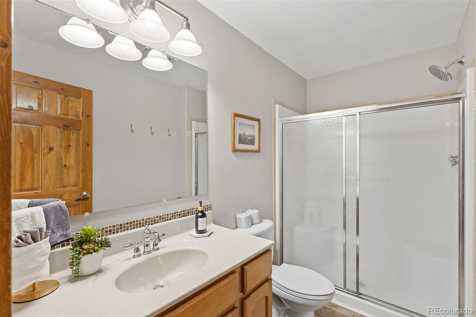 MLS Image #17 for 242  fuller drive,fairplay, Colorado