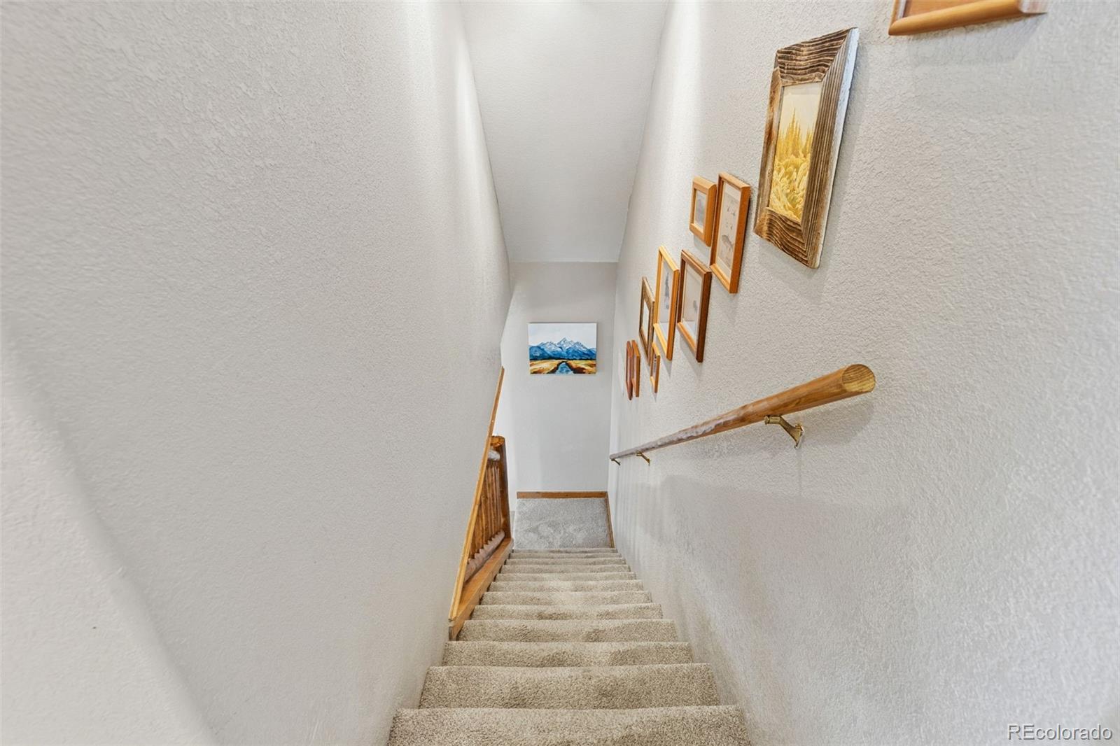 MLS Image #18 for 242  fuller drive,fairplay, Colorado