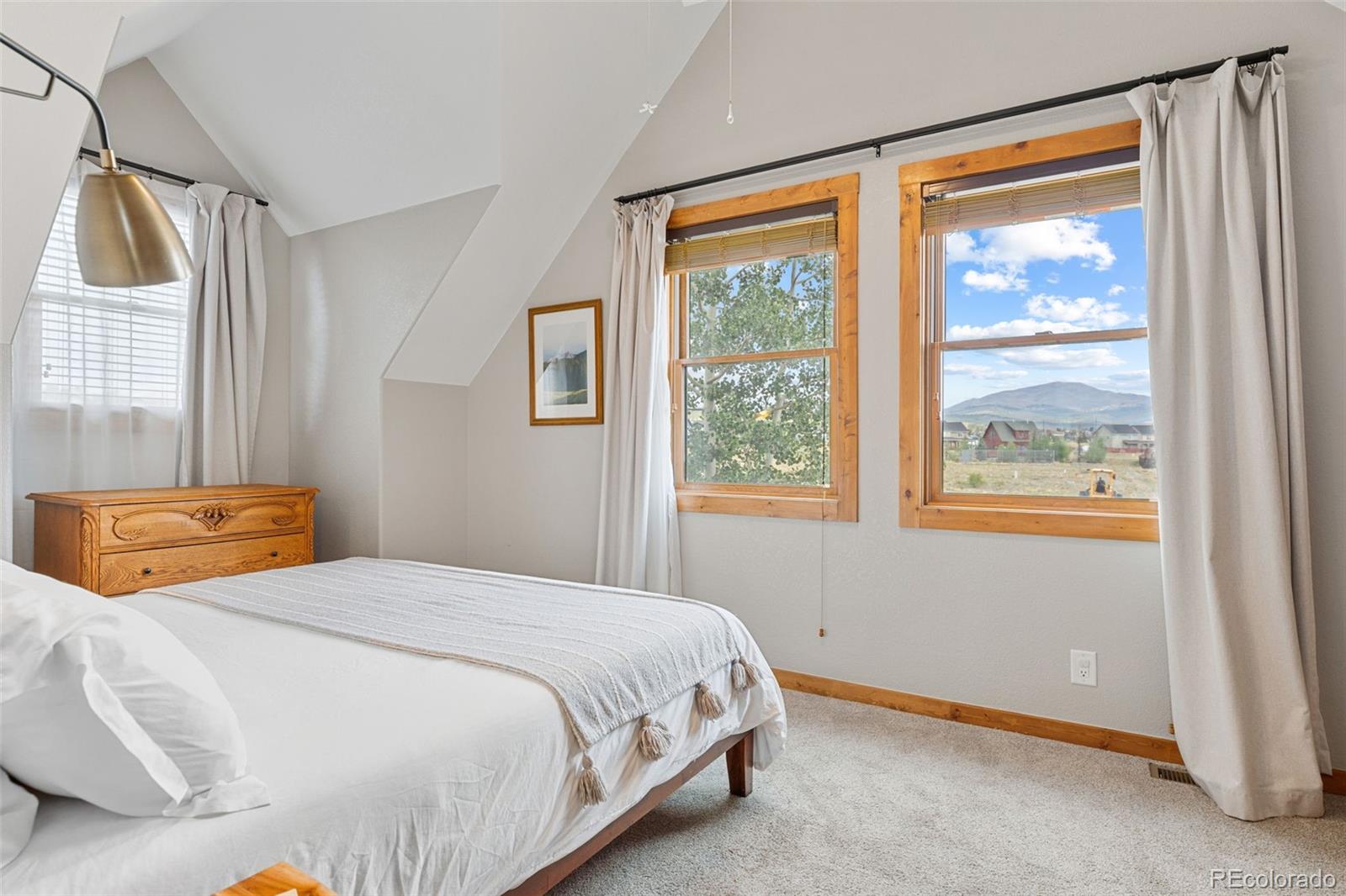MLS Image #19 for 242  fuller drive,fairplay, Colorado