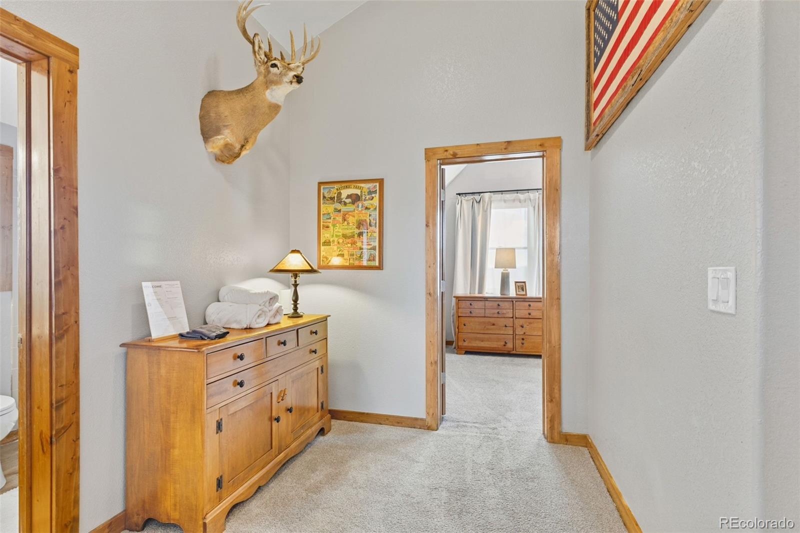 MLS Image #22 for 242  fuller drive,fairplay, Colorado