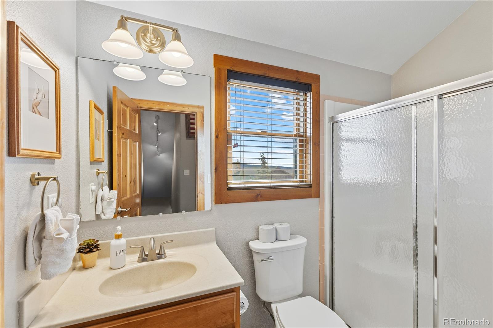 MLS Image #23 for 242  fuller drive,fairplay, Colorado