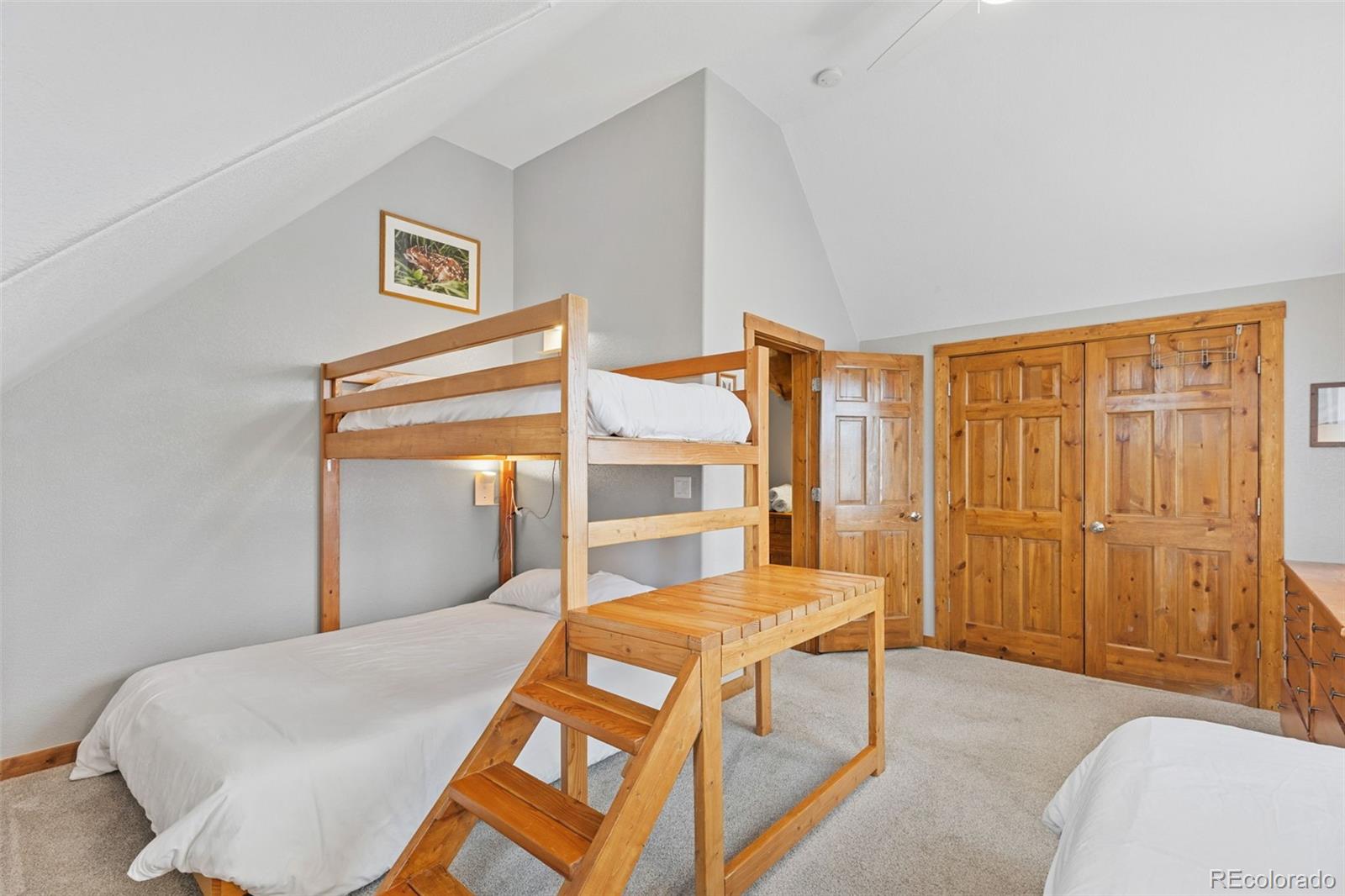 MLS Image #26 for 242  fuller drive,fairplay, Colorado