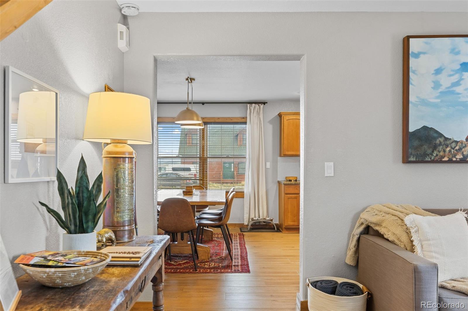 MLS Image #8 for 242  fuller drive,fairplay, Colorado