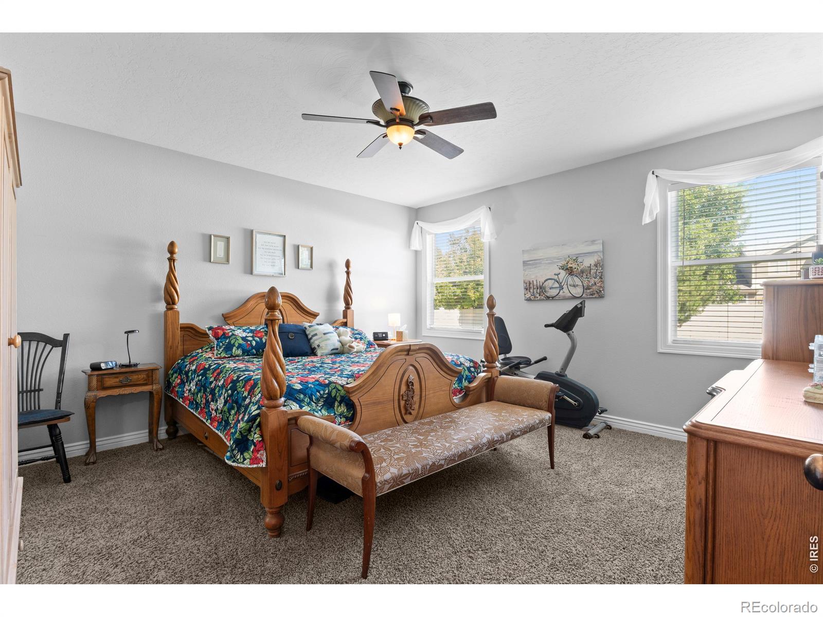 MLS Image #19 for 333  telluride drive,windsor, Colorado