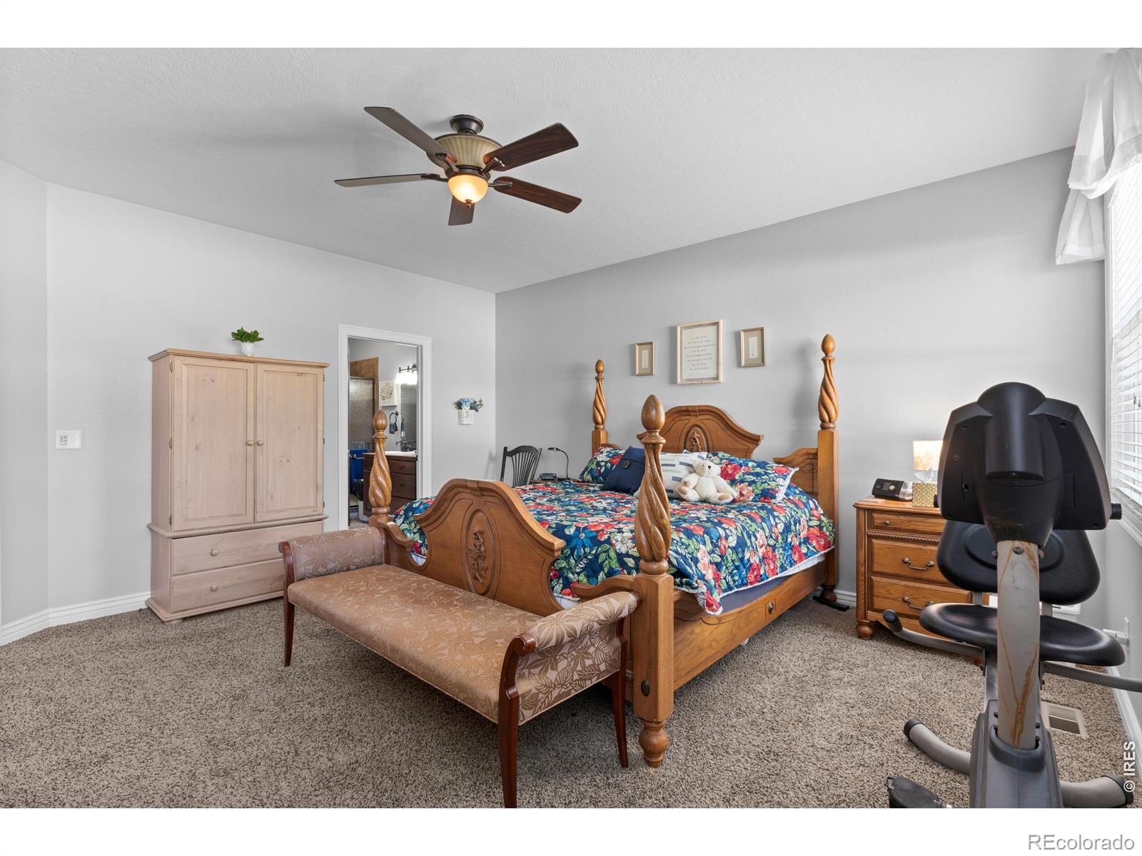 MLS Image #20 for 333  telluride drive,windsor, Colorado