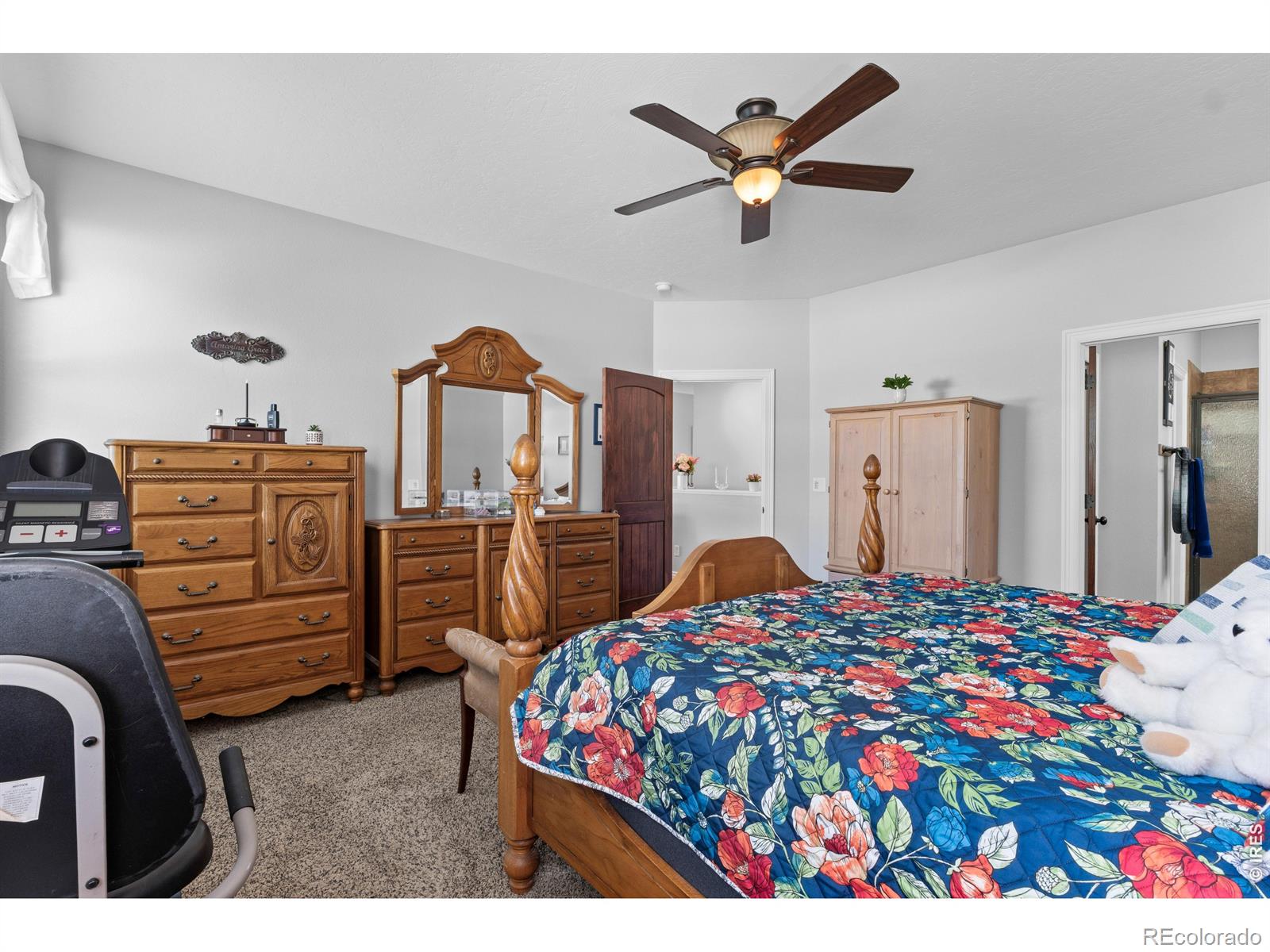 MLS Image #21 for 333  telluride drive,windsor, Colorado