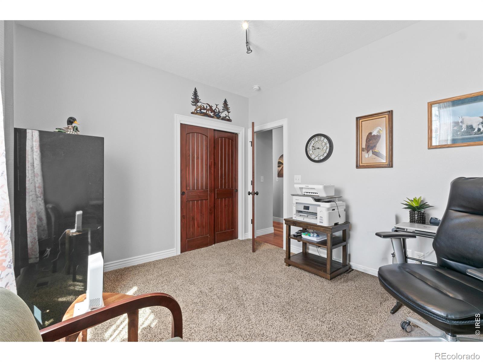 MLS Image #25 for 333  telluride drive,windsor, Colorado