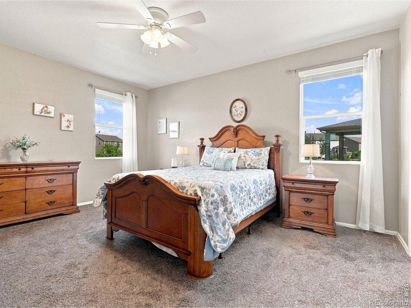 MLS Image #16 for 904  charlton drive,windsor, Colorado