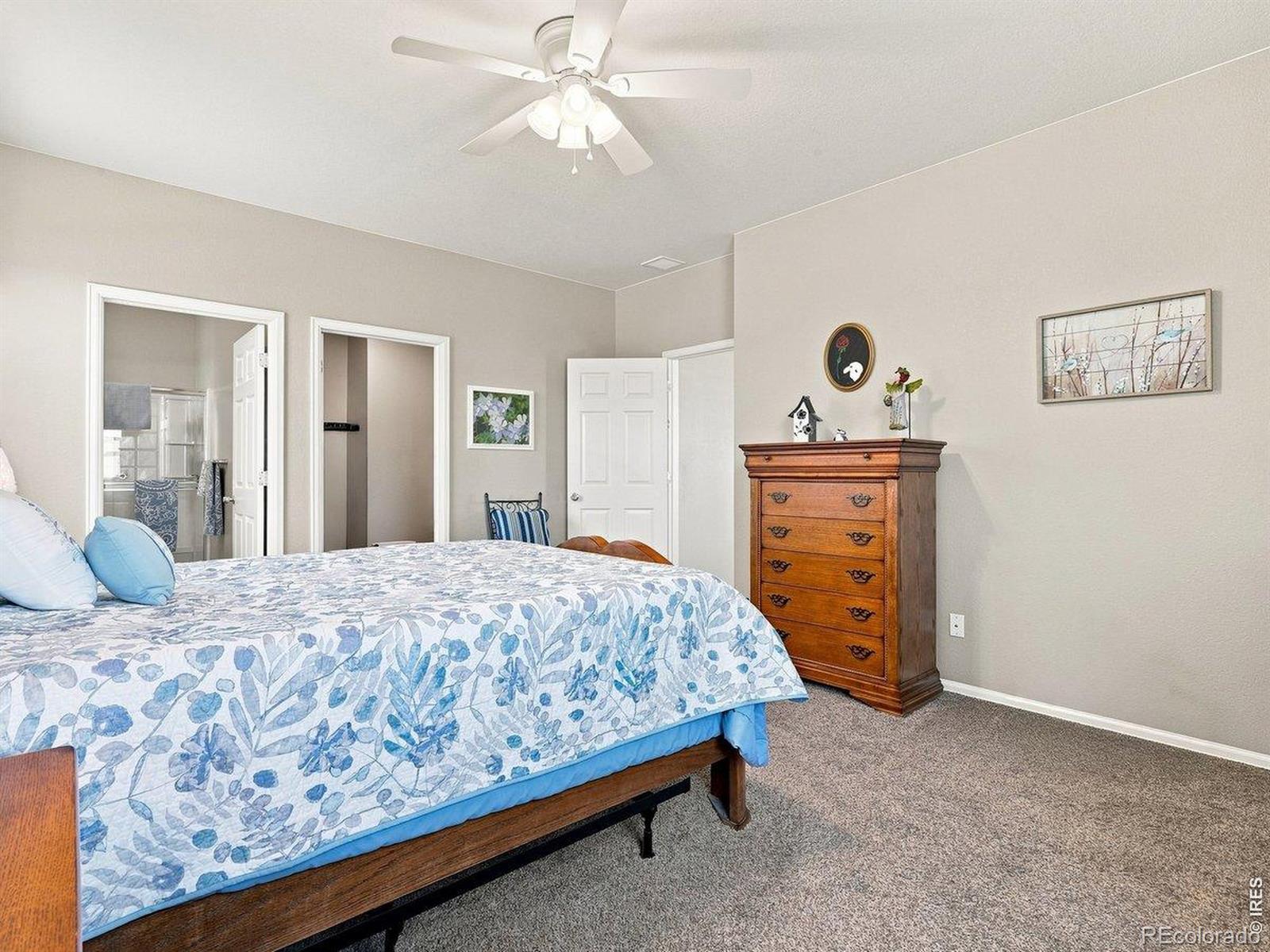 MLS Image #18 for 904  charlton drive,windsor, Colorado