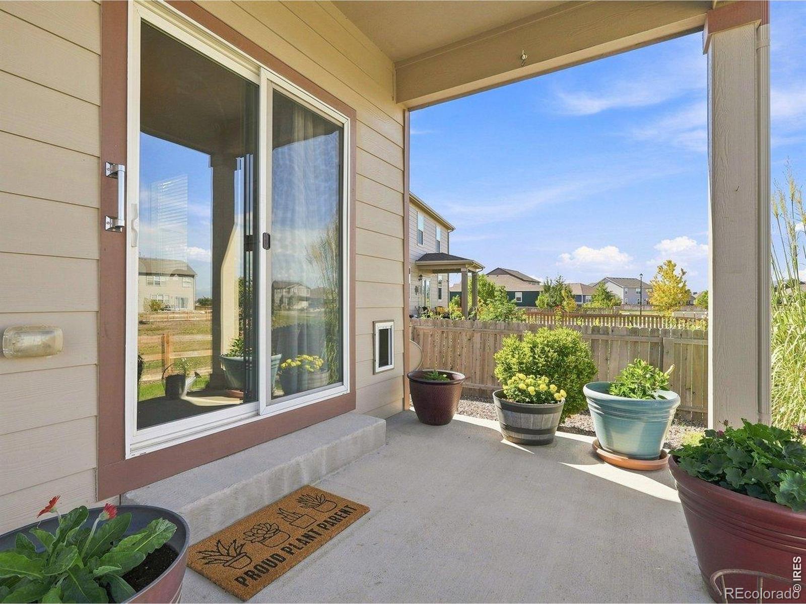 MLS Image #28 for 904  charlton drive,windsor, Colorado