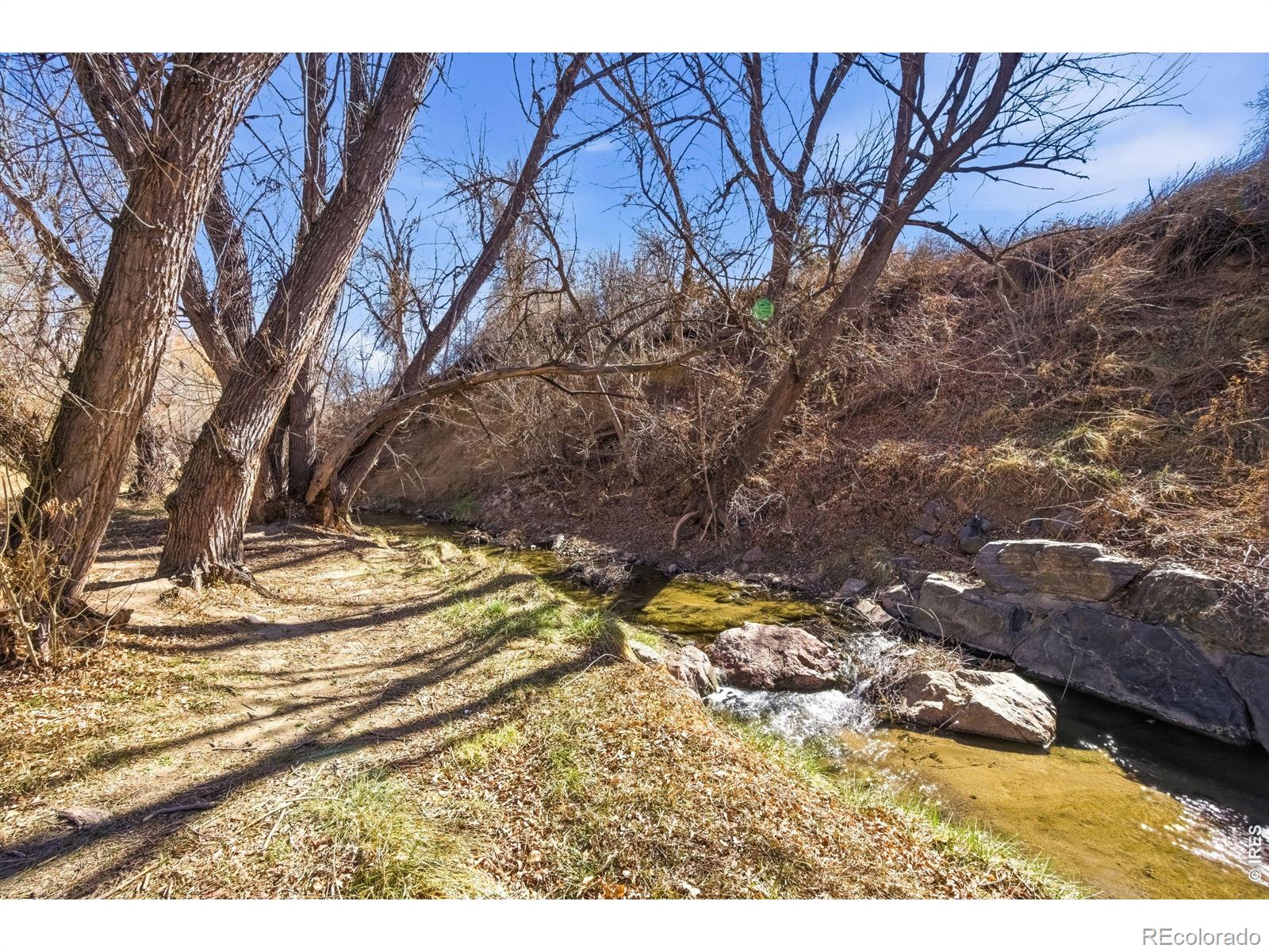 MLS Image #8 for 347 w rafferty gardens avenue,littleton, Colorado