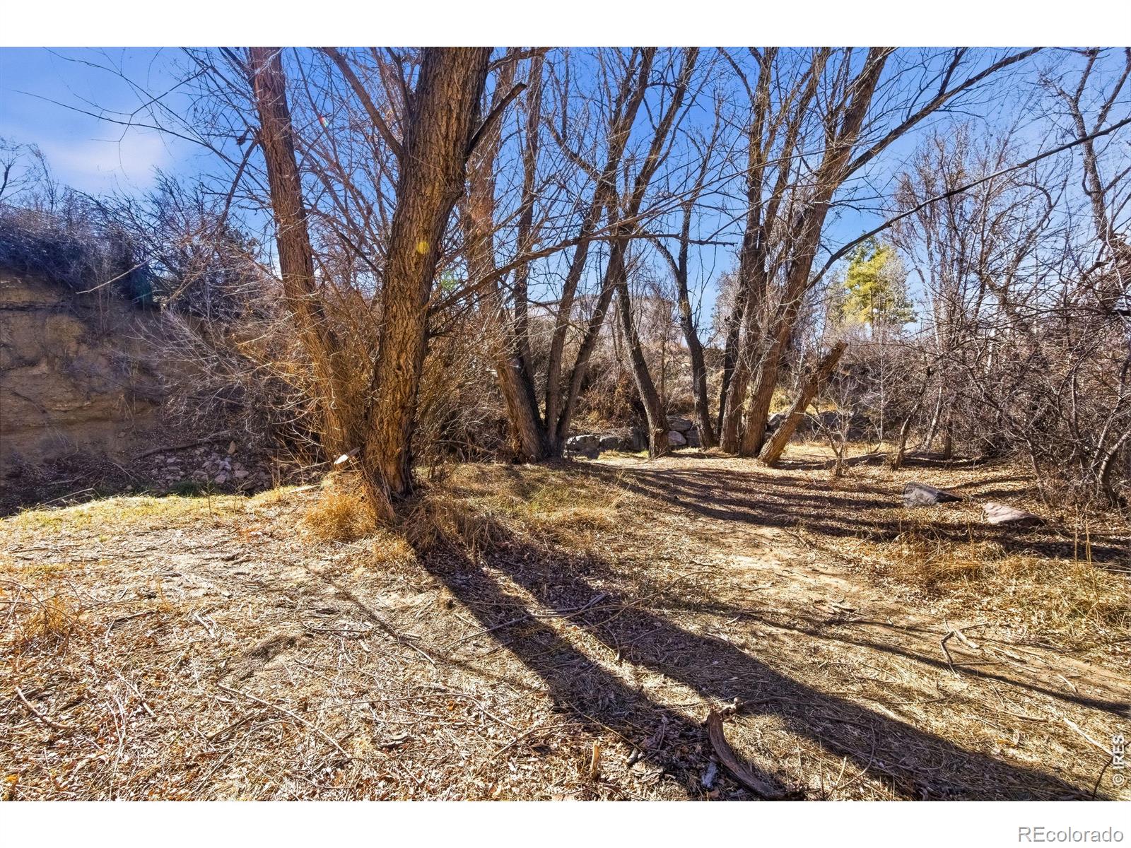 MLS Image #9 for 347 w rafferty gardens avenue,littleton, Colorado